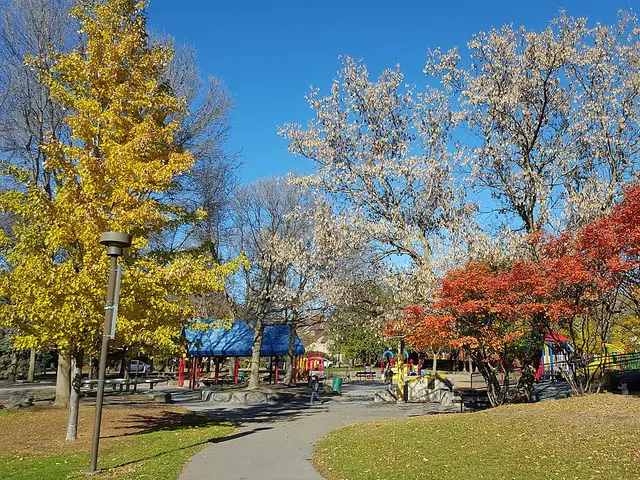 Autumn foliage at Brewer Park, Ottawa