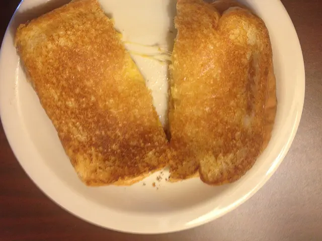 A grilled cheese sandwich cut in half on a white plate.
