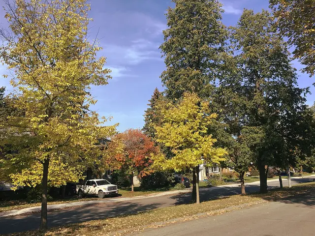 Knightsbridge Road in the McKellar Heights section of Carlingwood.