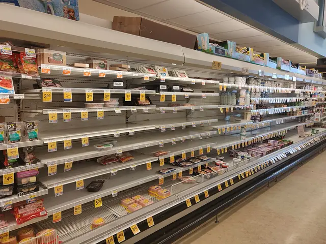 An empty grocery store meat aisle with mostly bare refrigerated shelves.