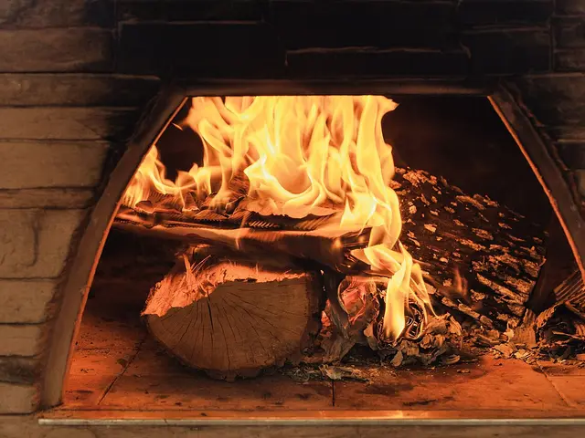A wood-fired pizza oven with visible flames.