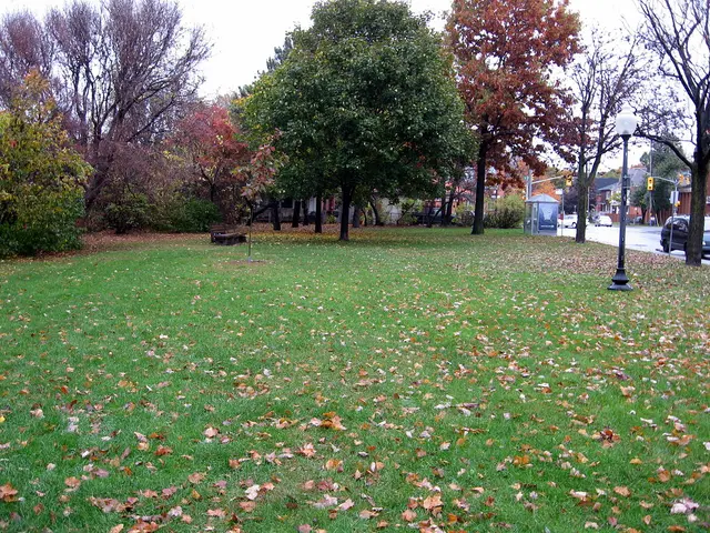 Ballantyne Park in the Old Ottawa East neighbourhood