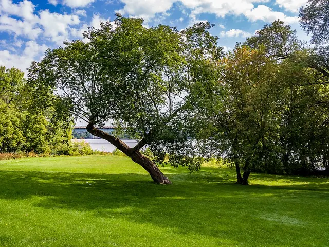 Trees and green space in Jacques-Cartier Park, Gatineau
