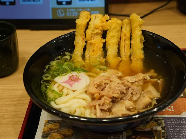 A bowl of udon noodles topped with chicken and burdock tempura.