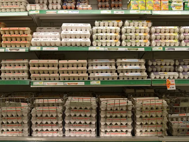 Cartons of eggs displayed for sale on a grocery store shelf.