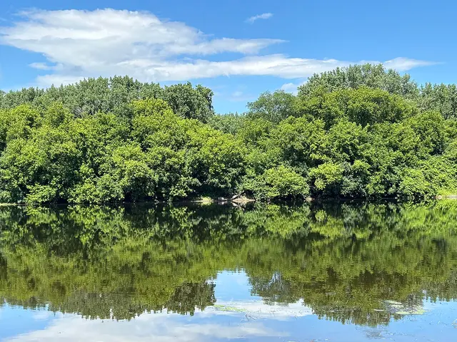 Reflection at Brantwood Park, Ottawa
