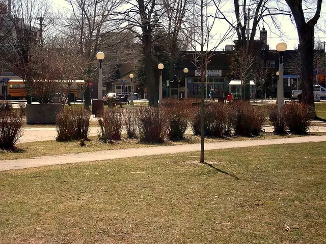 Minto Park on Elgin Street, Ottawa