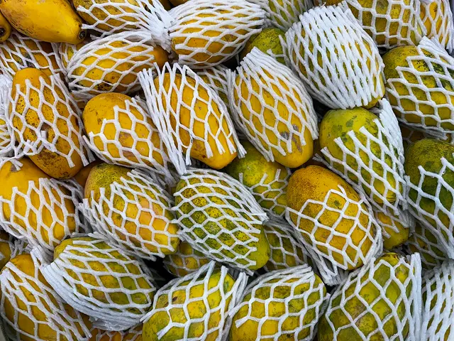 Papaya fruits wrapped in protective mesh netting for sale at a grocery store in Brazil