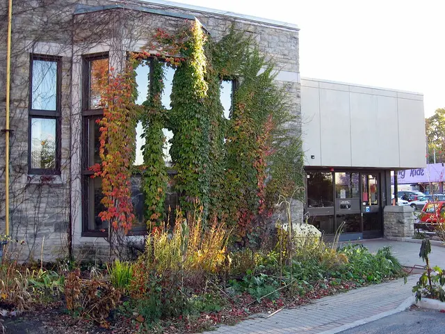 The Sunnyside branch of the Ottawa Public Library in Old Ottawa South.
