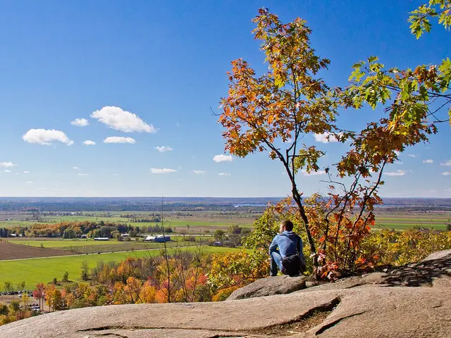 Eardley Escarpment, Gatineau Park