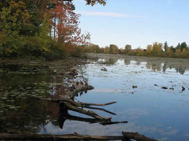 Mud Lake, a nature area in Britannia, Ottawa