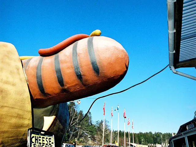 A hot dog in a bun with condiments.