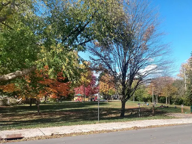 Iona Park, Ottawa